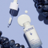 CAUDALIE Vinoperfect Serum voor meer glans 30 ml - 4