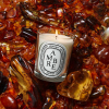 diptyque Ambre Classic Candle 190 g - 4
