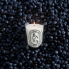 diptyque Baies Classic Candle 190 g - 4