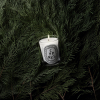 diptyque Cyprès Classic Candle 190 g - 4