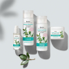 basler Jojoba Starter Set  - 4