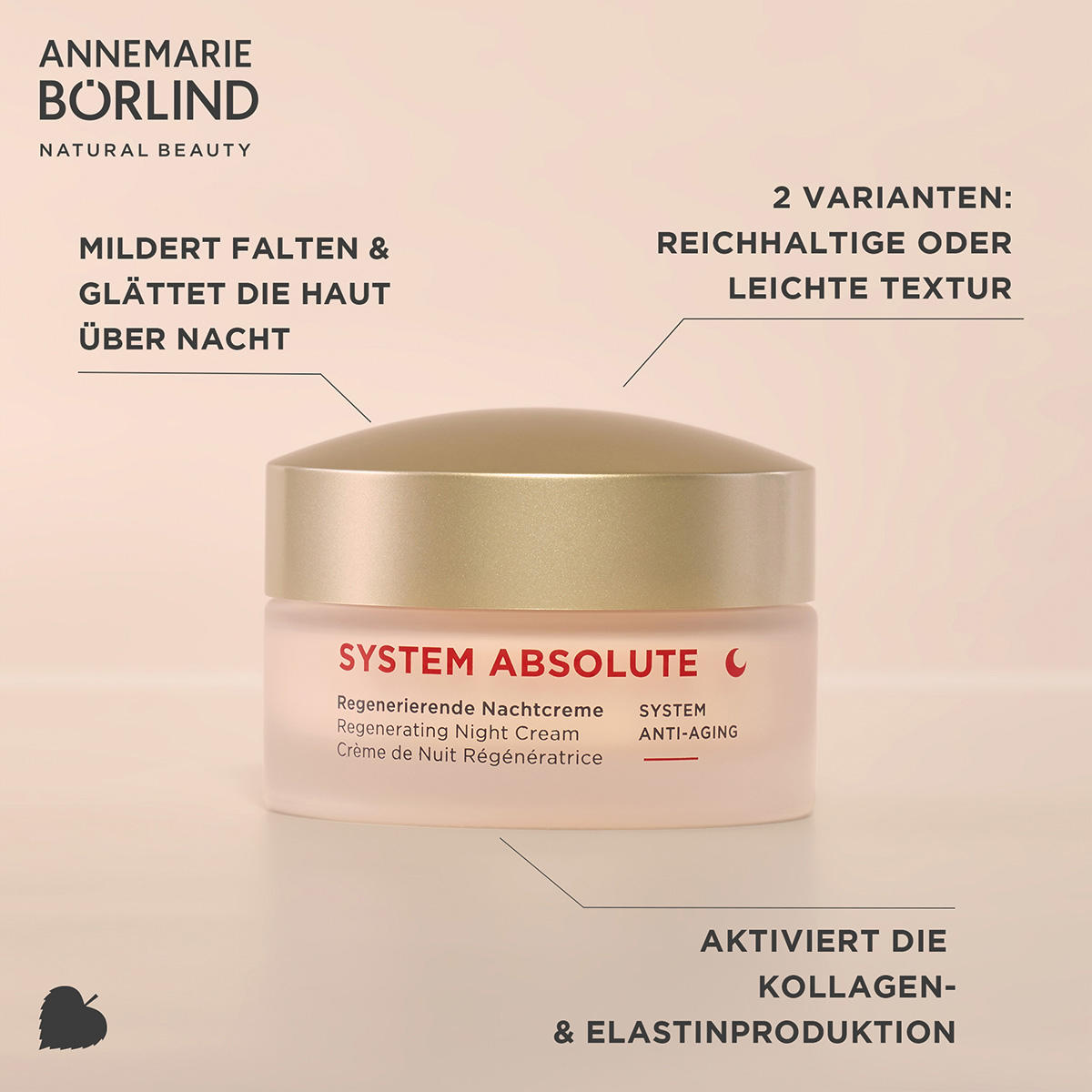 ANNEMARIE BÖRLIND SYSTEM ABSOLUTE SYSTEM ANTI-AGING Crème de nuit régénérante 50 ml - 4