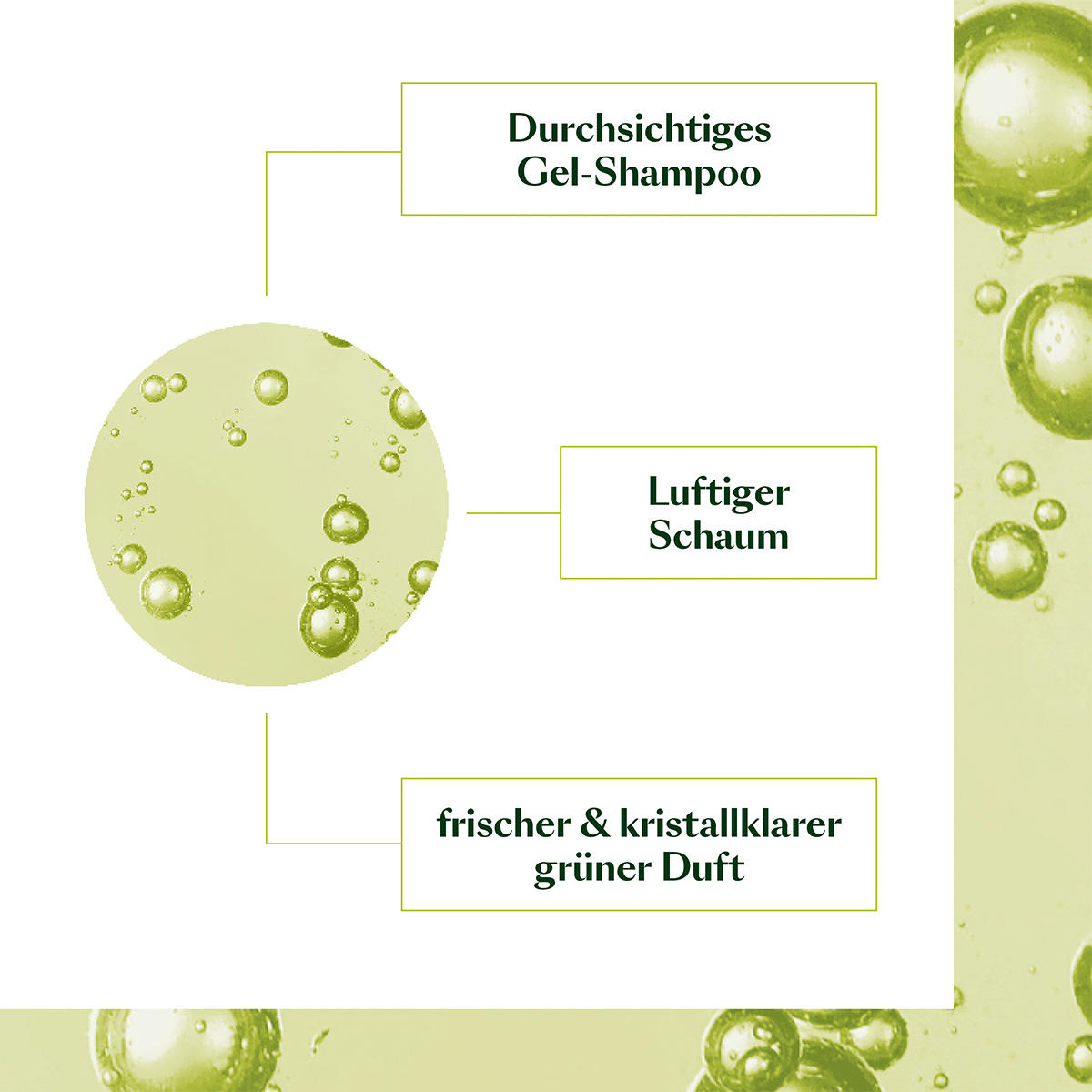 René Furterer Volumea Volumen Shampoo 200 ml - 4