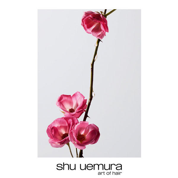 Shu Uemura Color Lustre Brilliant Glaze Conditioner 250 ml - 4