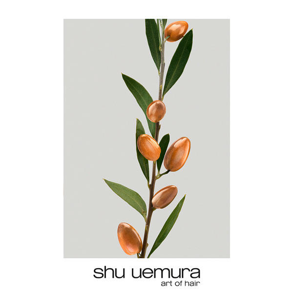 Shu Uemura Silk Bloom Restorative Shampoo 300 ml - 4