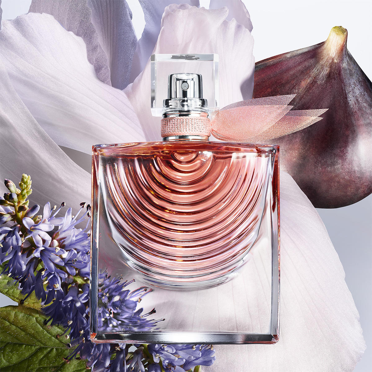 Lancome la vie est belle eau de parfum 30 ml hot sale