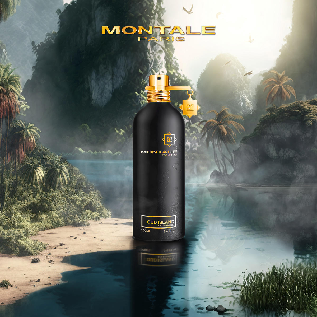 Montale Oud Island Eau de Parfum 100 ml - 4
