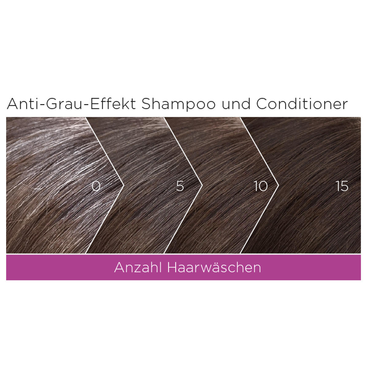 Alcina GREY HAIR DON’T CARE Shampooing à effet anti-grisaille 200 ml - 4
