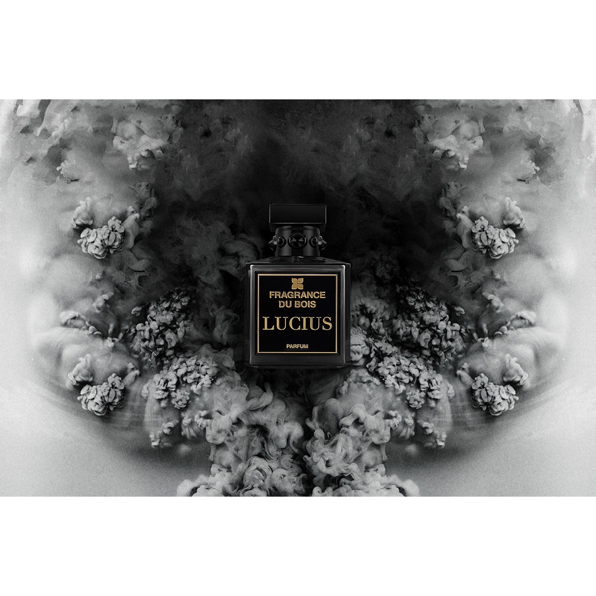 FRAGRANCE DU BOIS Lucius Parfum 100 ml comprar online | baslerbeauty