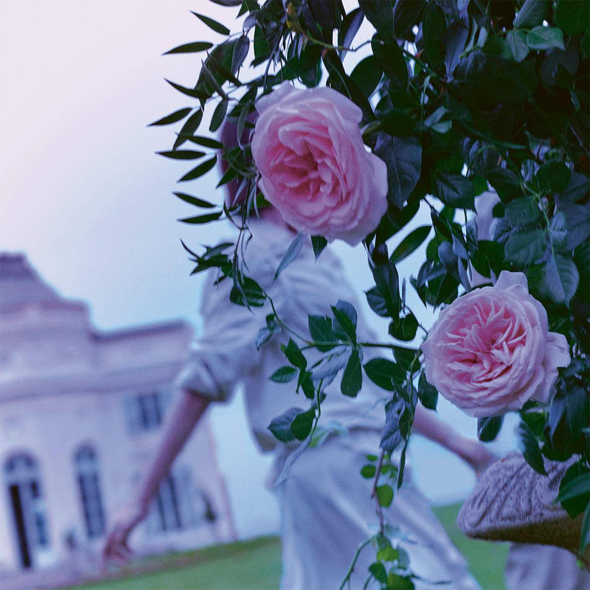 Maison Margiela REPLICA Up At Dawn Eau de Toilette 100 ml - 4