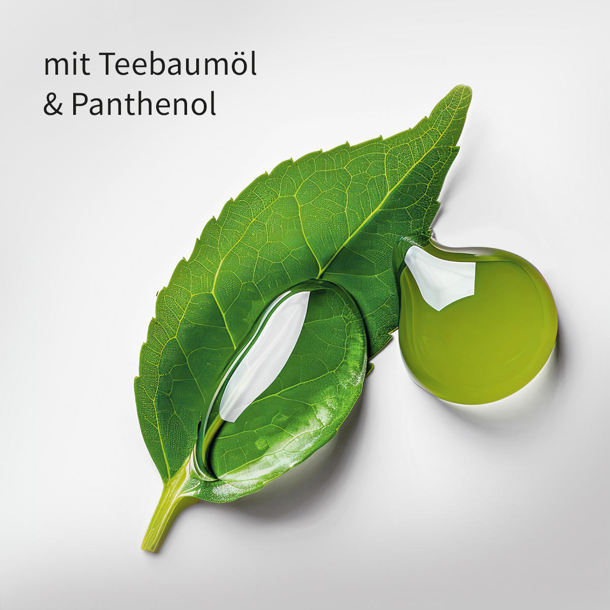 basler Teebaumöl Hair & Scalp Balance Set  - 4