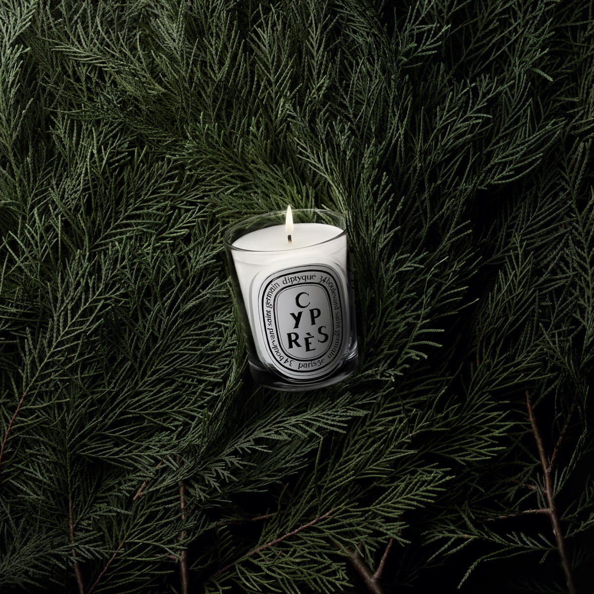 diptyque Cyprès Classic Candle 190 g - 4