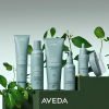 AVEDA Scalp Solutions Refreshing Protective Mist 100 ml - 5