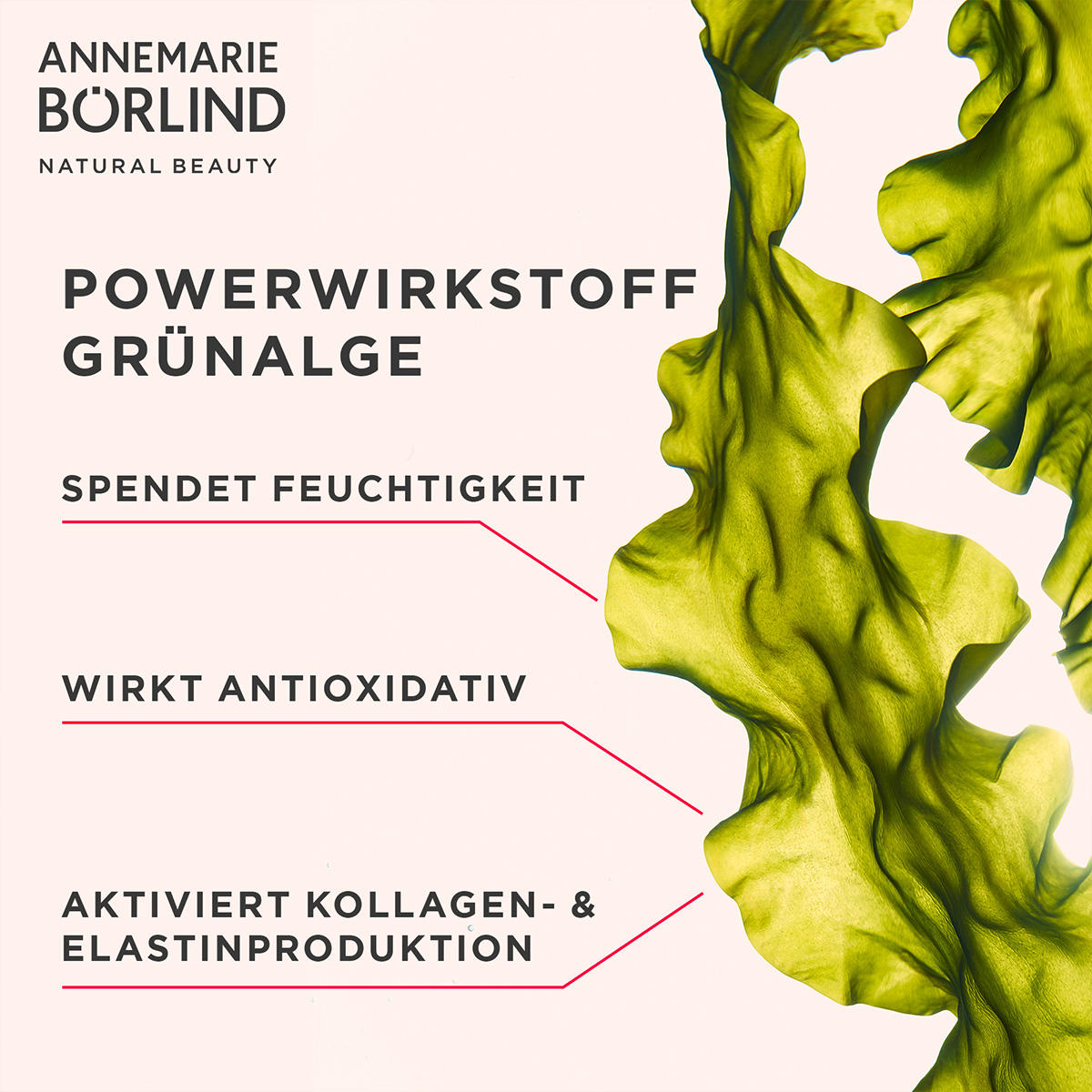 ANNEMARIE BÖRLIND SYSTEM ABSOLUTE SYSTEM ANTI-AGING Glättende Tagescreme 50 ml - 5