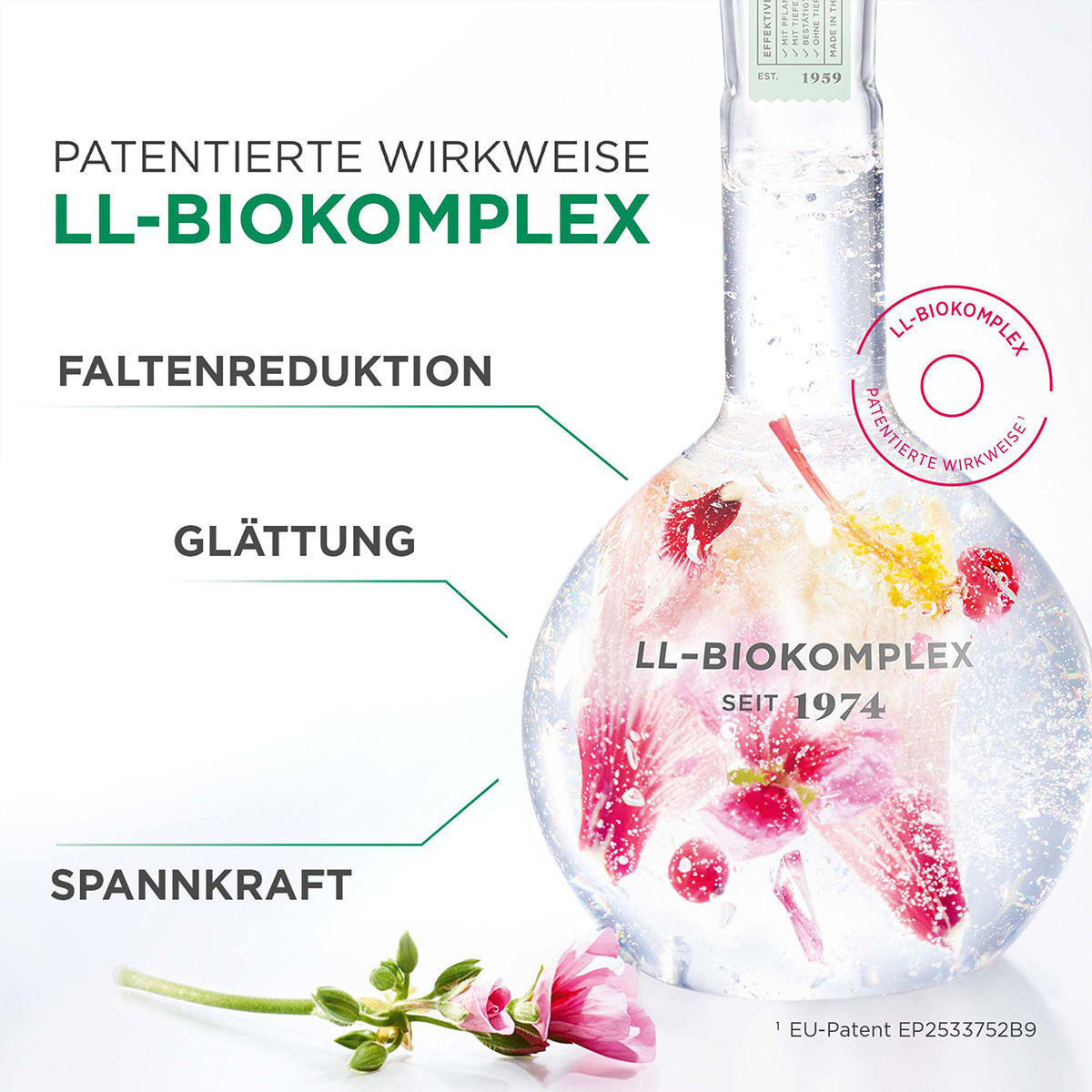 ANNEMARIE BÖRLIND LL REGENERATION SYSTEM VITALITY Vitalisierende Tagescreme LIMITED EDITION 75 ml - 5