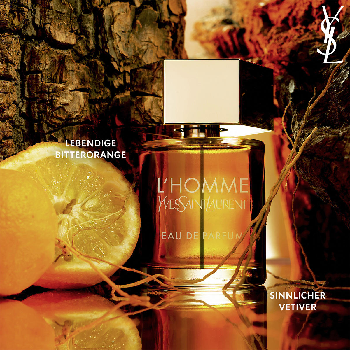 Yves Saint Laurent L'Homme Eau de Parfum 60 ml - 5