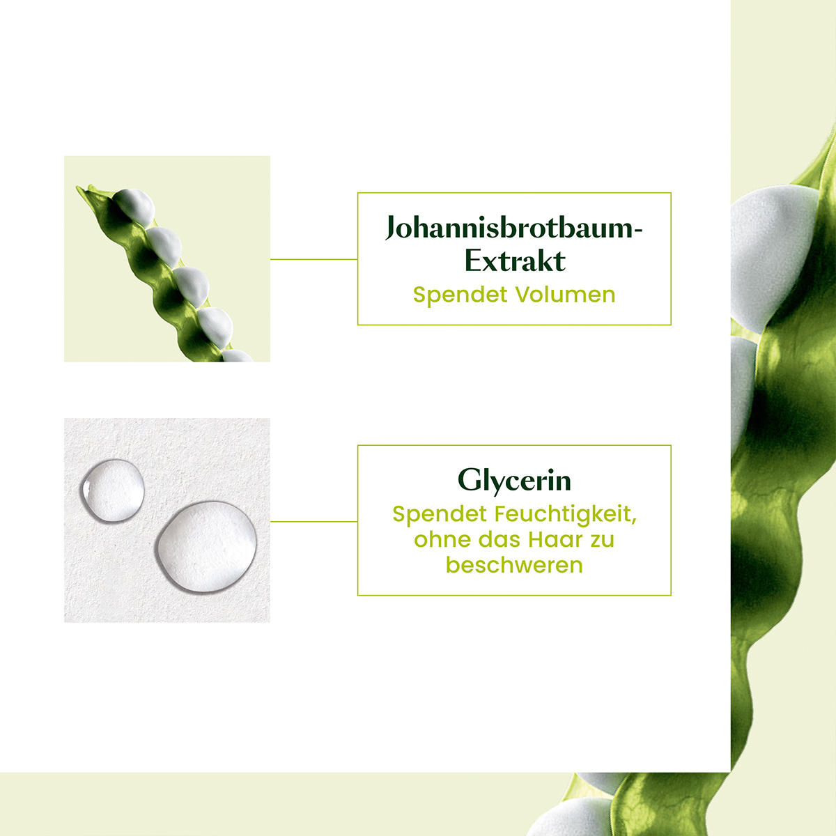 René Furterer Volumea Shampoing Volume 200 ml - 5