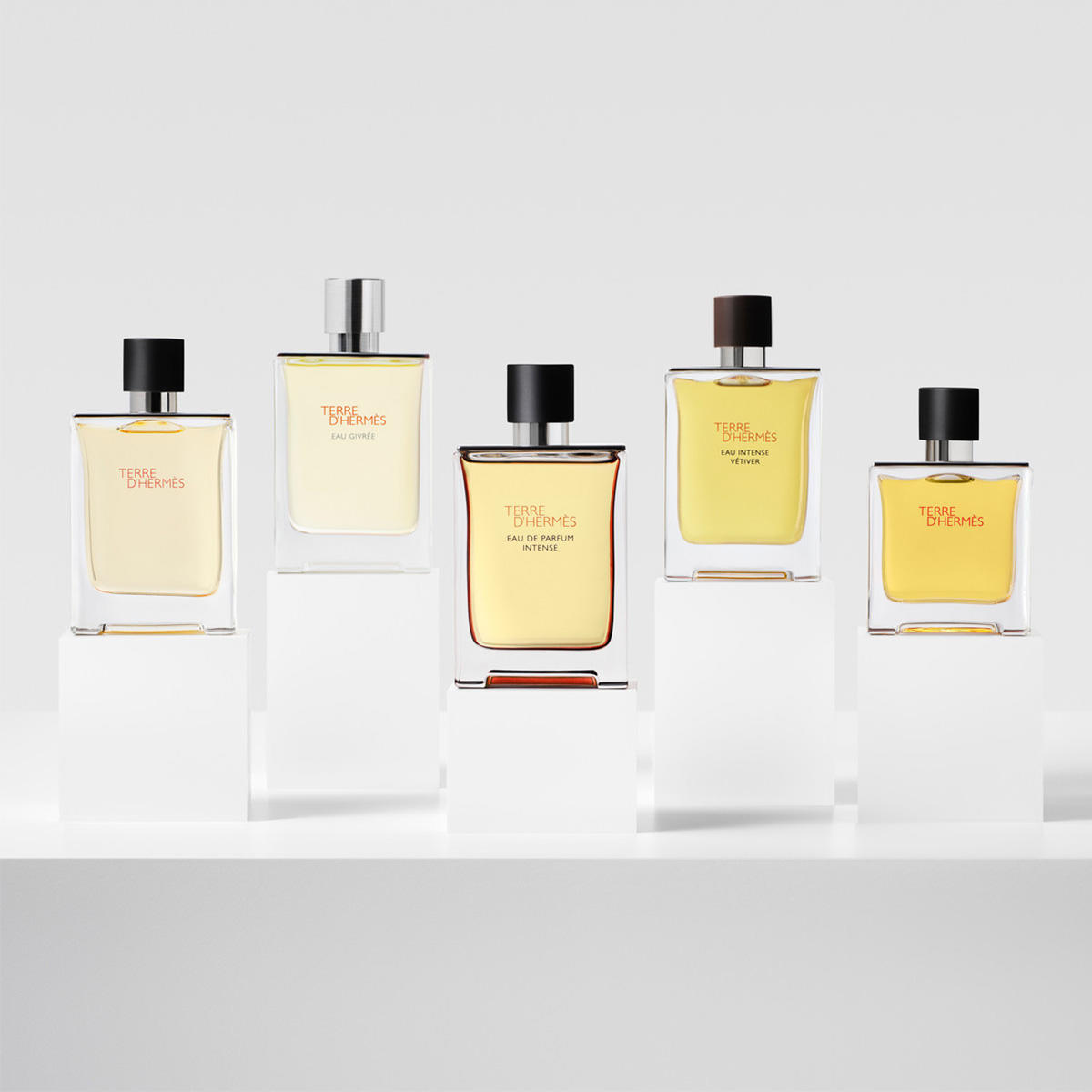 HERMÈS Terre d’Hermès Eau de Parfum Intense Refillable 50 ml - 5