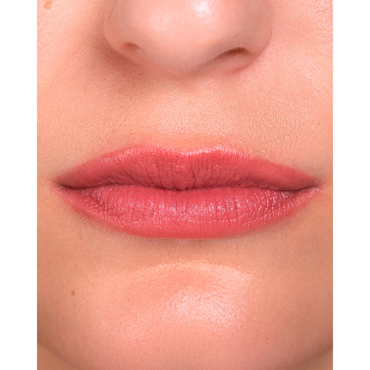 LONI BAUR Lip 09 Dusty Rose 2,5 g - 5