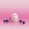 CAUDALIE Resveratrol-Lift Firming Cashmere Cream Refill 50 ml - 6