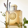 BURBERRY GODDESS Eau de Parfum Intense 50 ml - 6