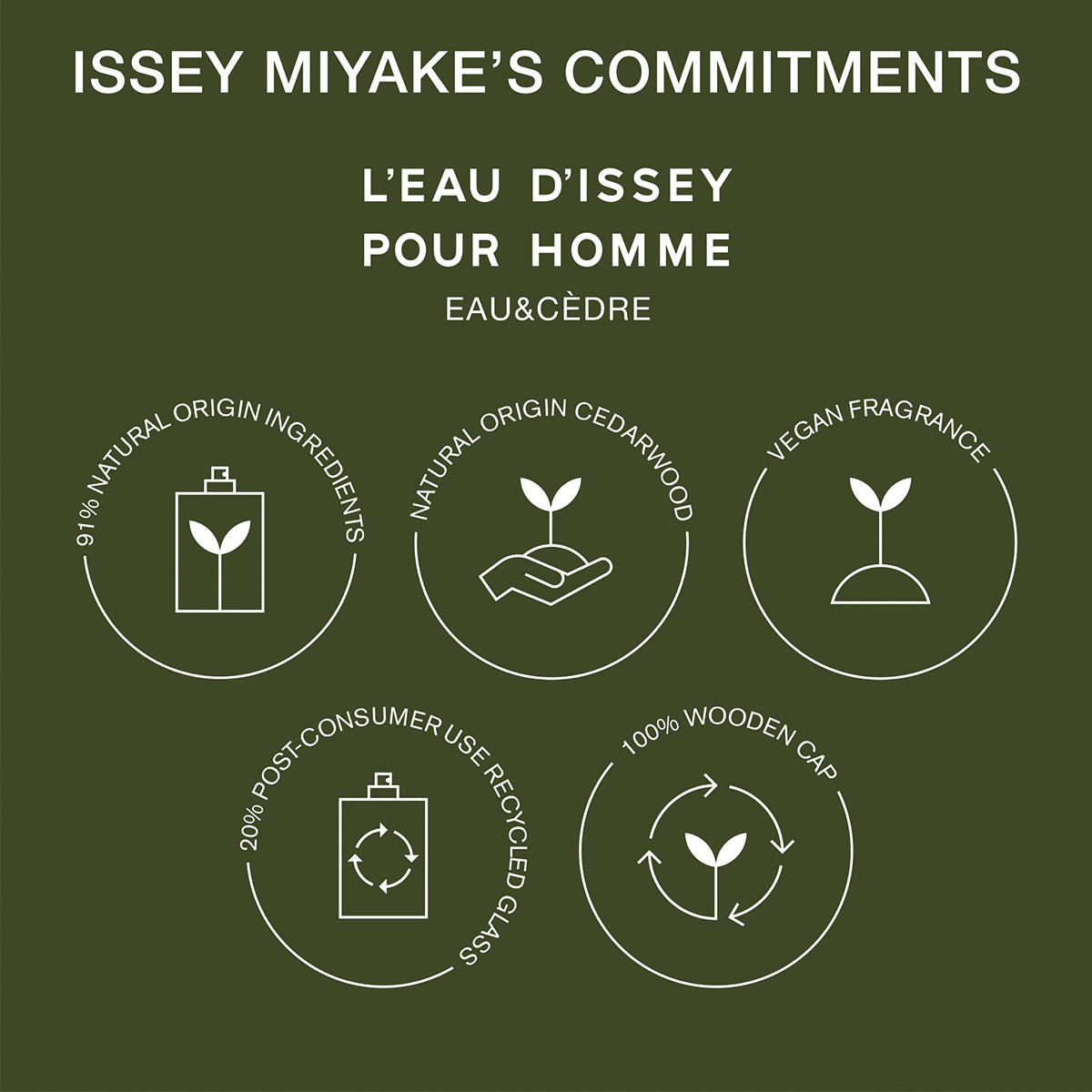 Issey Miyake L'Eau d'Issey Pour Homme Eau & Cèdre Eau de Toilette Intense 50 ml - 6