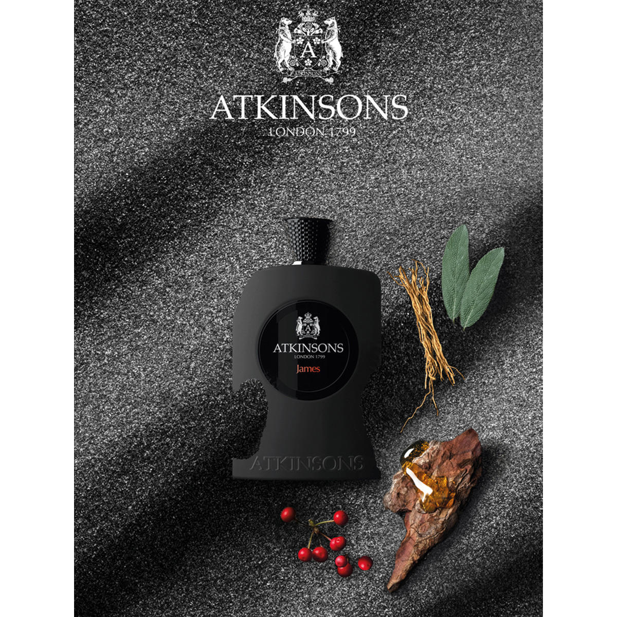 ATKINSONS James Eau de Parfum 100 ml - 6