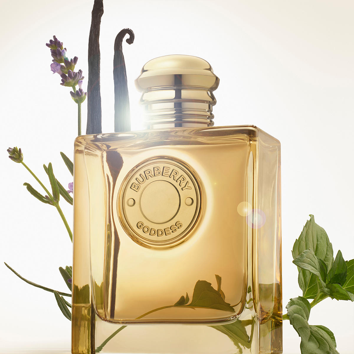 BURBERRY GODDESS Eau de Parfum Intense 50 ml - 6