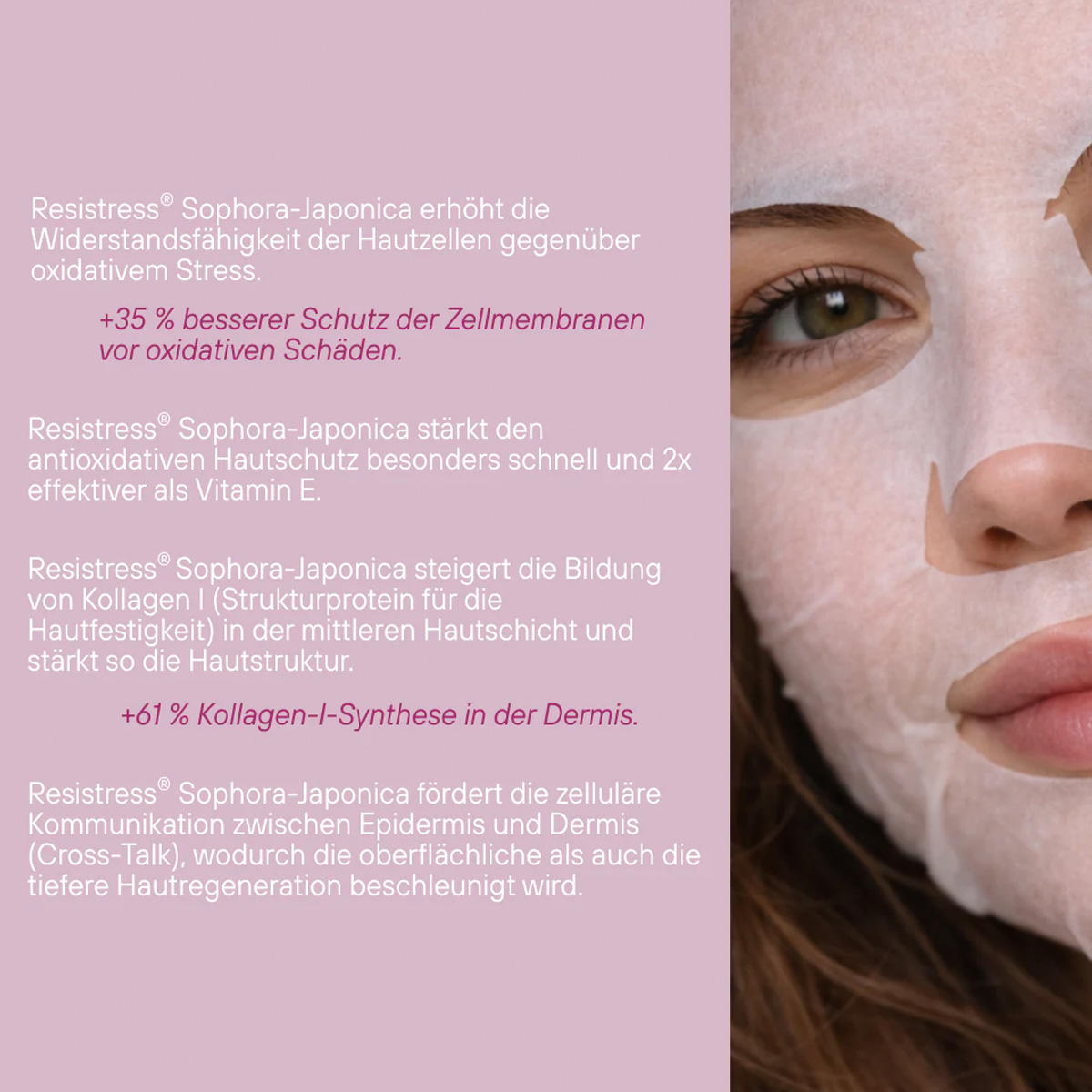 Dr. Niedermaier Fermented Hydra Rose Mask 1 Stück - 6