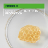 René Furterer Triphasic Reactional Kur bei temporärem Haarausfall 12 x 5 ml - 7