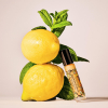 Susanne Kaufmann diptyque x Susanne Kaufmann Lip Oil Limited Edition 5 ml - 7