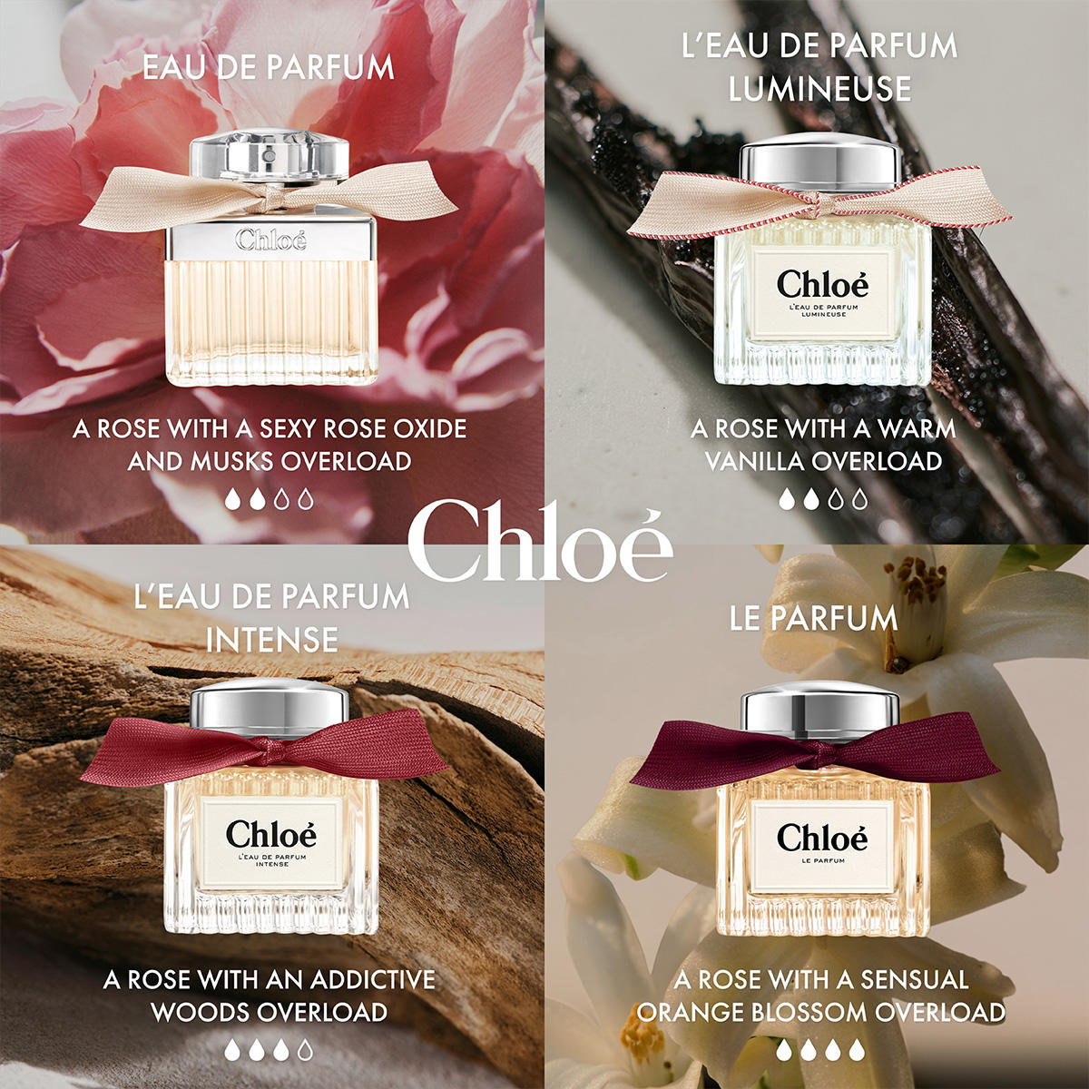 Chloé Chloé Eau de Parfum online kopen | baslerbeauty