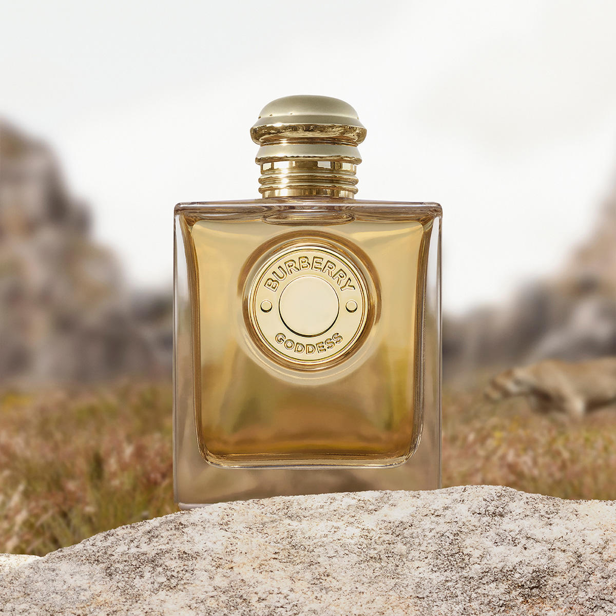 BURBERRY GODDESS Eau de Parfum Intense 50 ml - 8