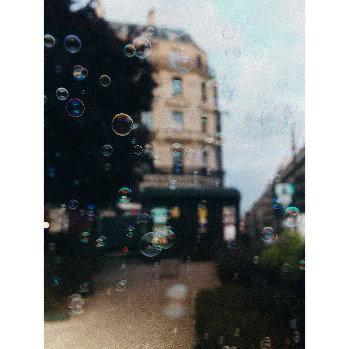 Thomas De Monaco Luisant Haze Extrait de Parfum 50 ml - 9