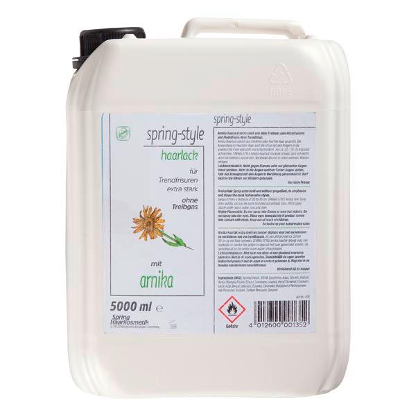 Spring Lacca per capelli con Arnica 5 Liter