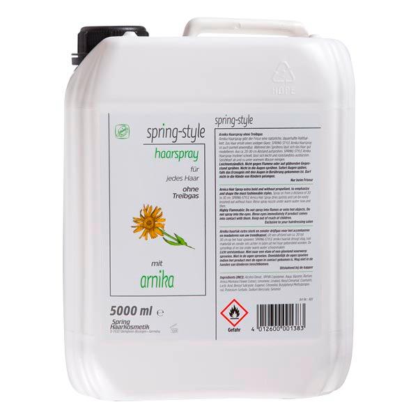 Spring Lacca per capelli con Arnica 5 Liter