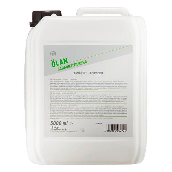 Spring Ölan Schaumfixierung 5 Liter