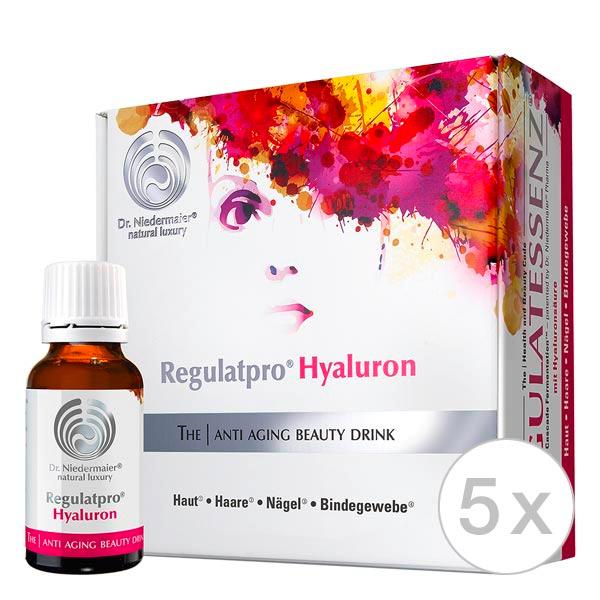 Dr. Niedermaier Regulatpro Hyaluron (5 x 20 x 20 ml)