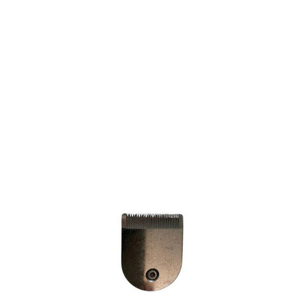 Cutting head