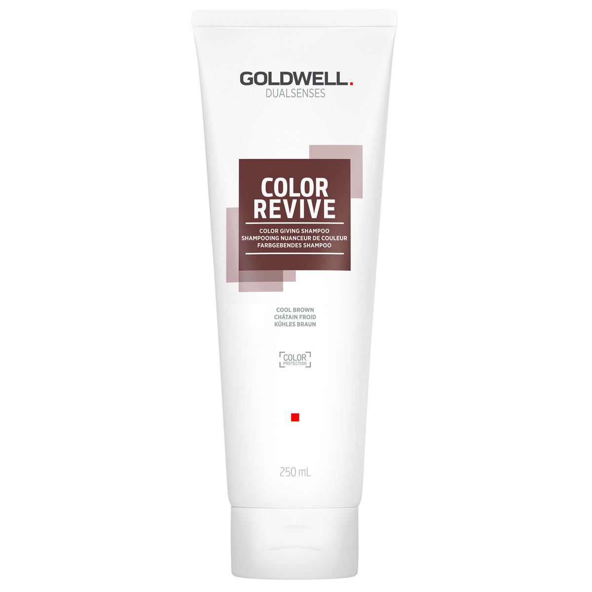 Goldwell Dualsenses Color Revive Farbgebendes Shampoo Kühles Braun 250 ml
