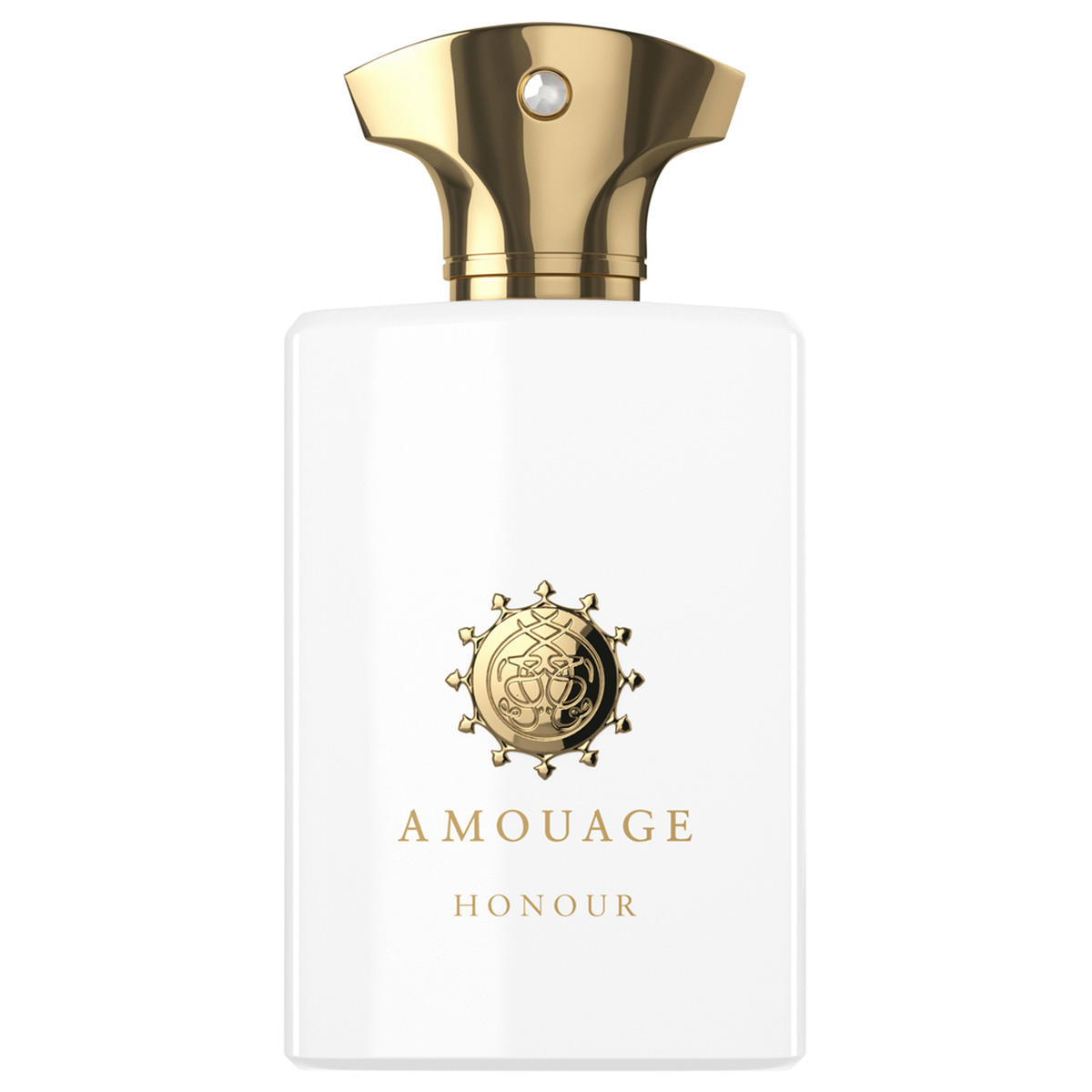AMOUAGE Iconic Honour Man Eau de Parfum 100 ml