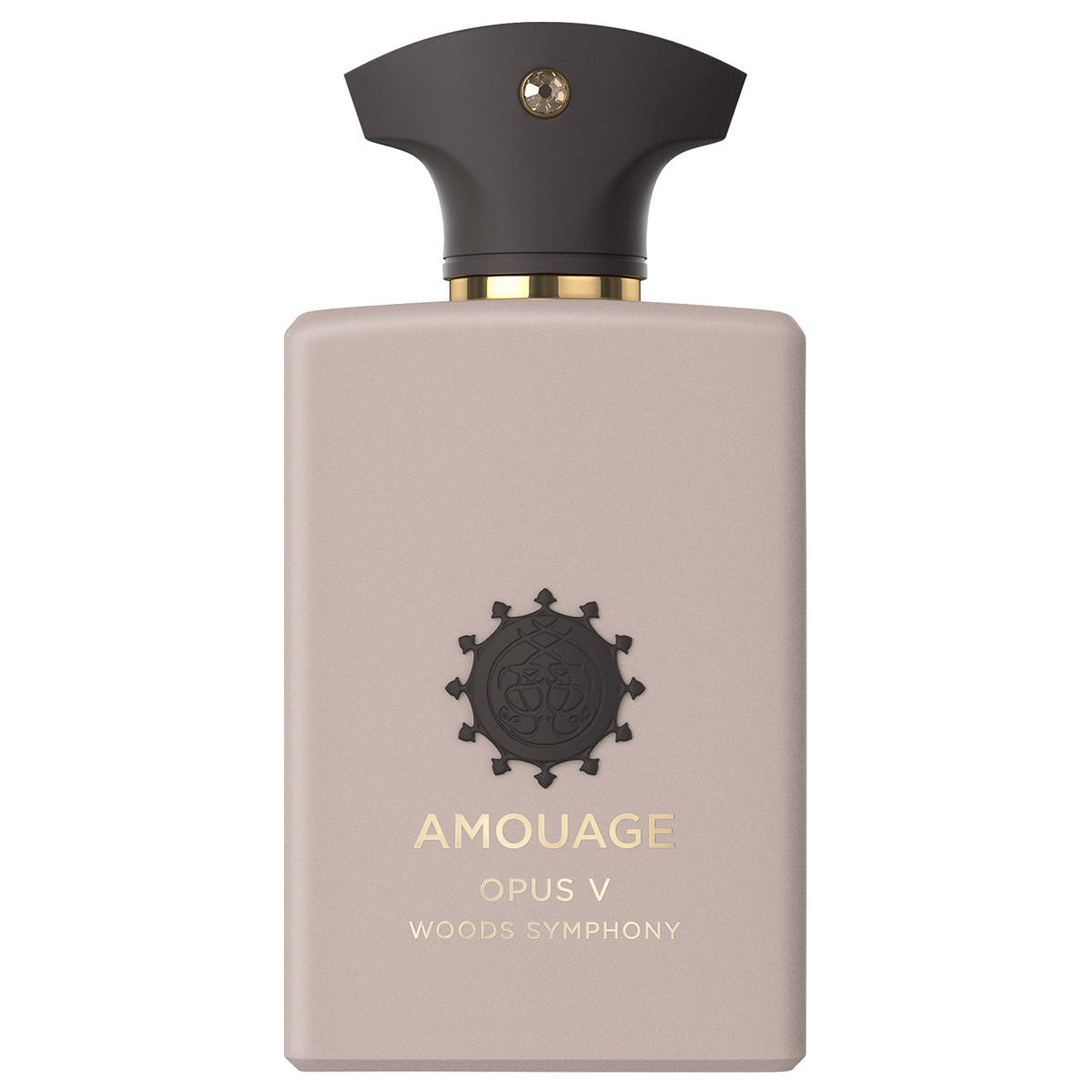 AMOUAGE Library Opus V Woods Symphony Eau de Parfum 100 ml