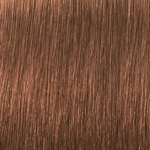 Schwarzkopf Professional IGORA ROYAL Nude Tones 8-46 Blond Clair Beige Chocolat, Tube 60 ml