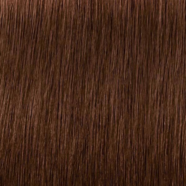 Schwarzkopf Professional IGORA ROYAL Nude Tones 6-46 Dark Blonde Beige Chocolate, Tube 60 ml