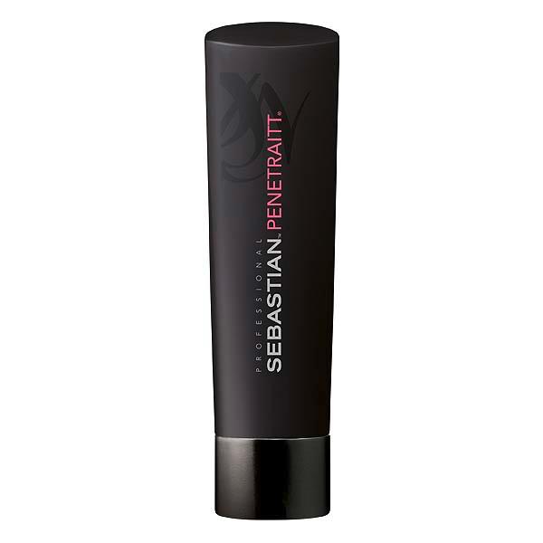 Sebastian Penetraitt Shampoo 250 ml
