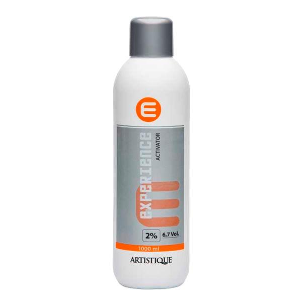 Artistique Experience Activator