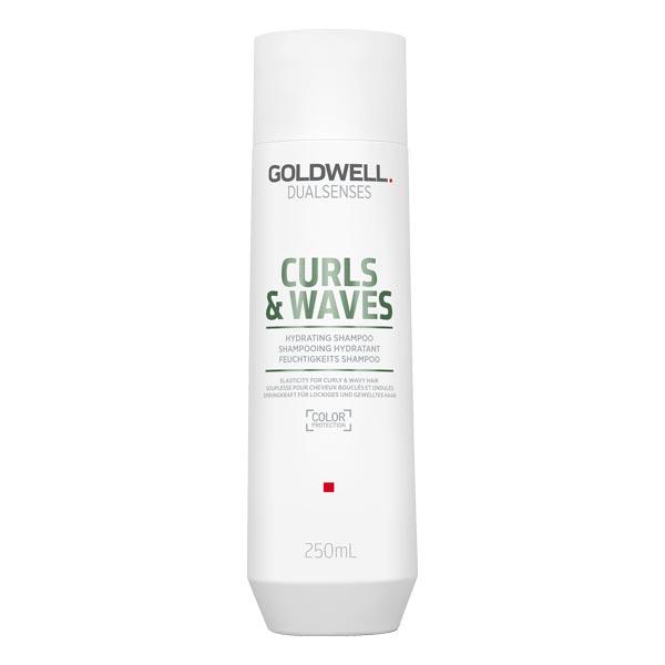 Goldwell Dualsenses Hydrating Shampoo 250 ml