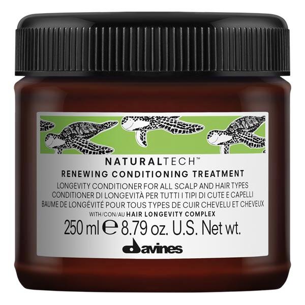 Davines Naturaltech Renewing Conditioning Treatment 250 ml
