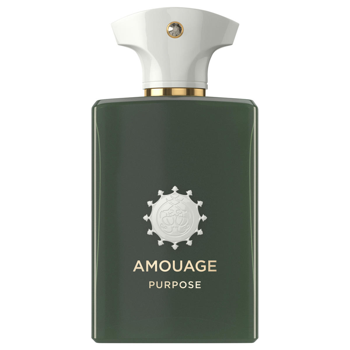 AMOUAGE Odyssey Purpose Eau de Parfum 100 ml