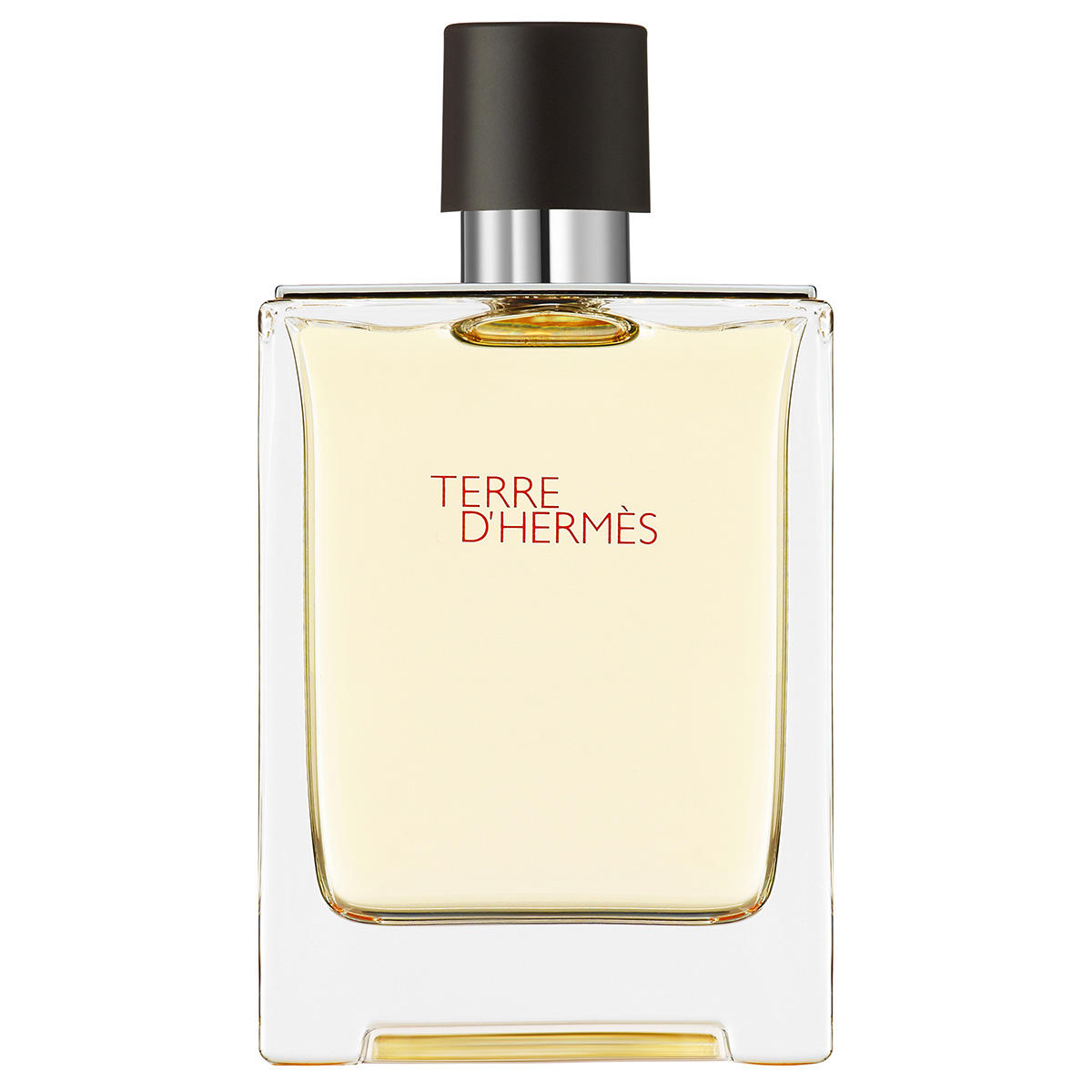 Hermès Terre d'Hermès Eau de Toilette 100ml 6